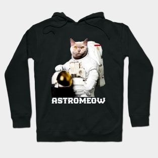 Astrocat Hoodie